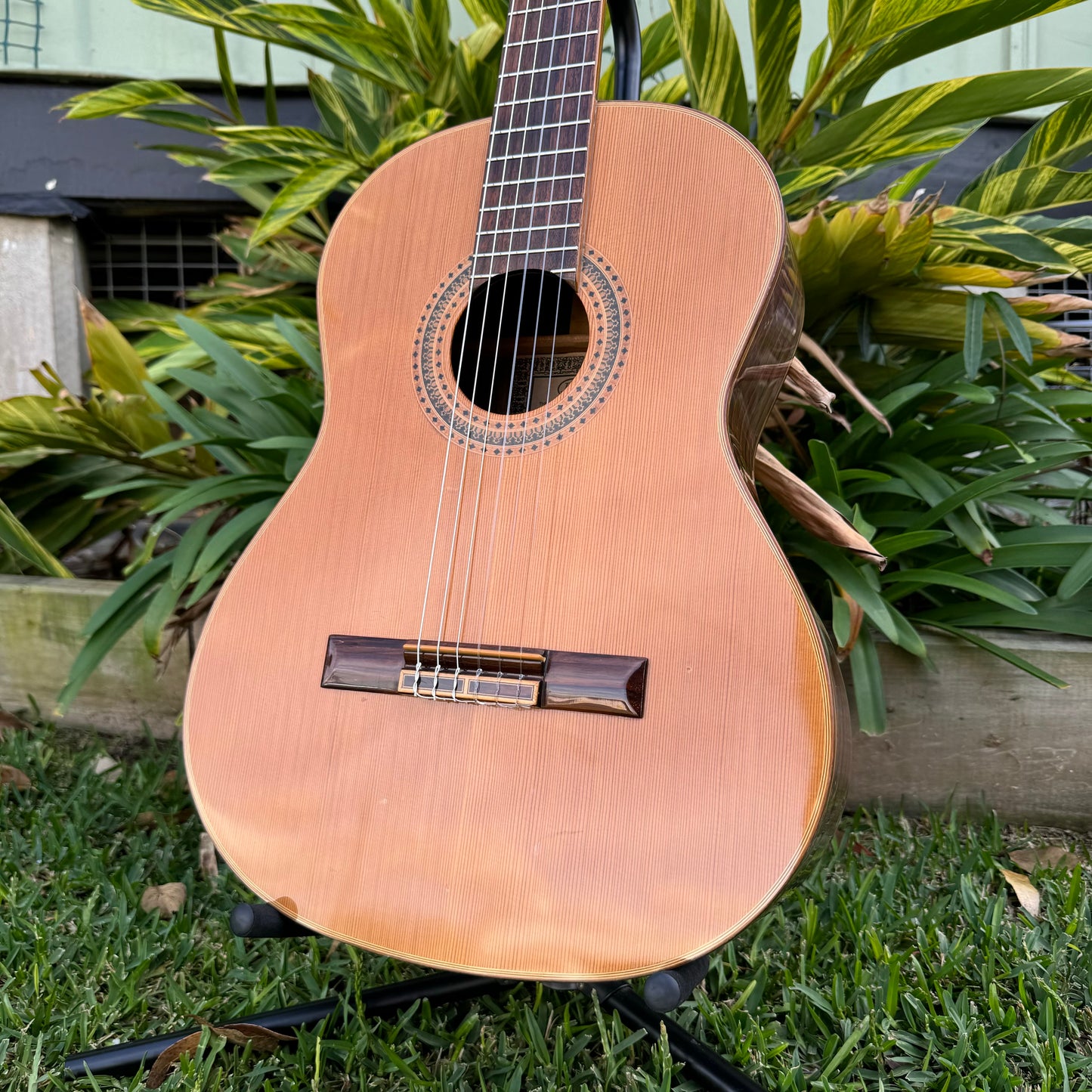 J&D Luthiers JD-C55-NGL Classical