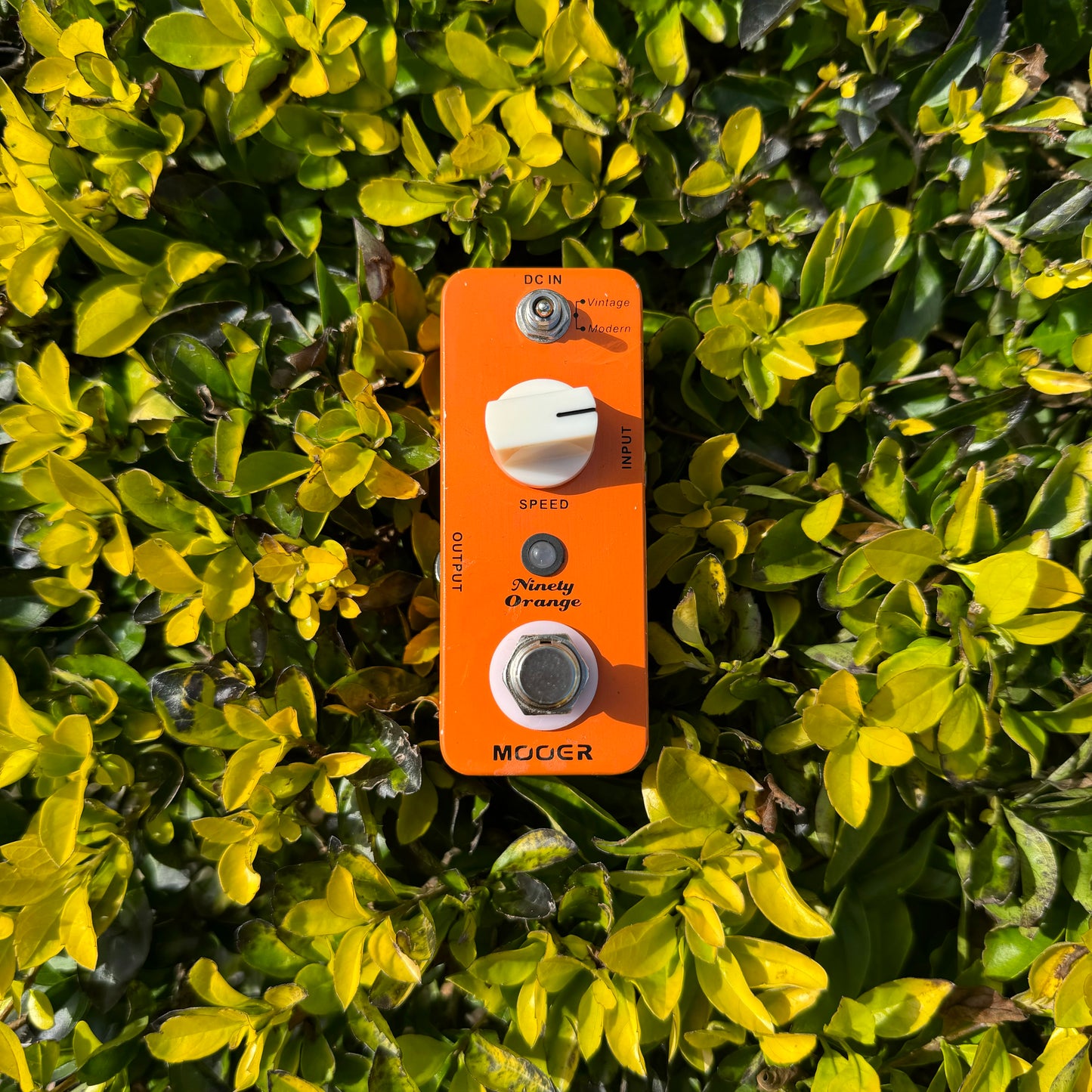 Mooer Ninety Orange Phaser