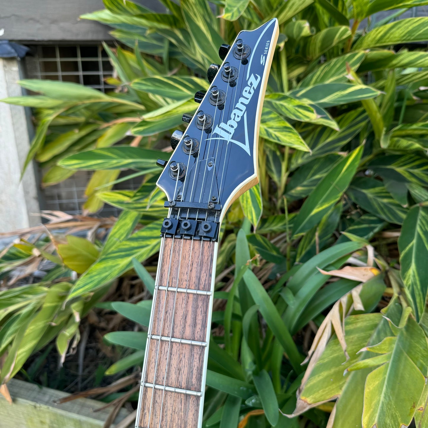 Ibanez S Series