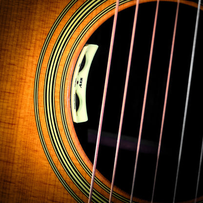 AER AK15 Plus Dual-Source Acoustic Guitar Pickup System