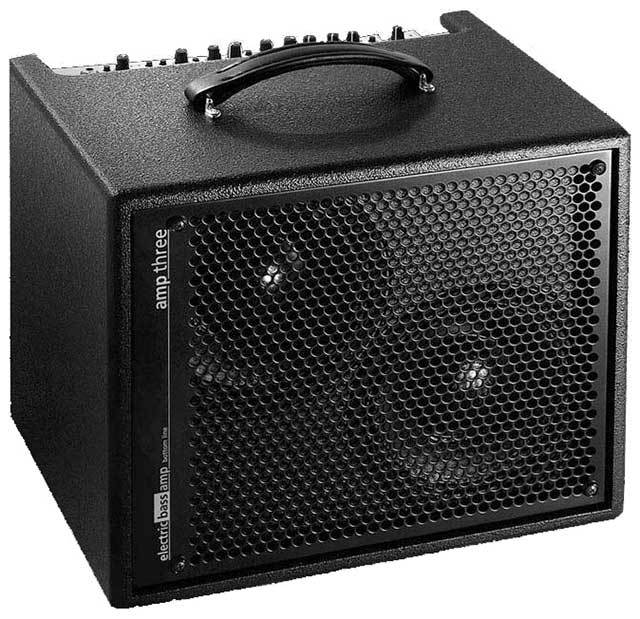 AER "Amp Three" Electric Bass Amplifier Combo (200 Watt)