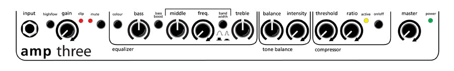 AER "Amp Three" Electric Bass Amplifier Combo (200 Watt)