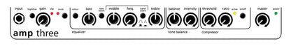 AER "Amp Three" Electric Bass Amplifier Combo (200 Watt)