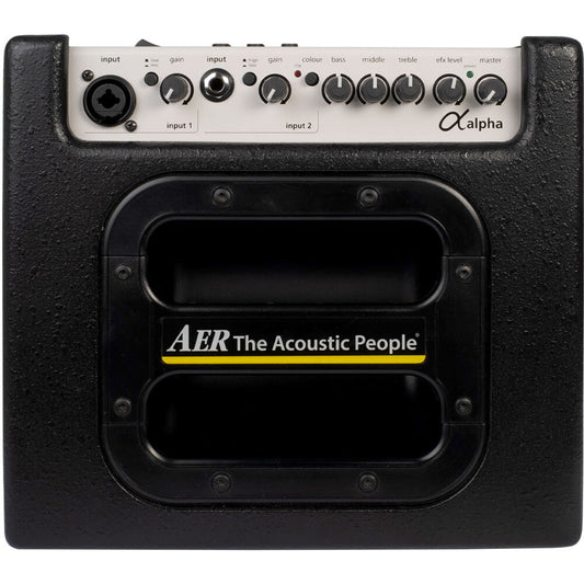 AER "Alpha" Acoustic Instrument Amplifier (40 Watt)