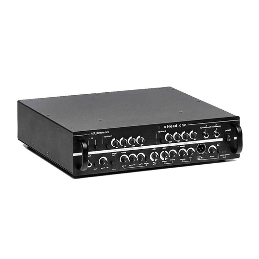 AER "Head One" Electric Bass Amplifier Head (275 Watt)