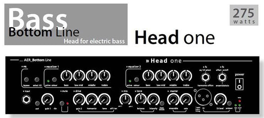 AER "Head One" Electric Bass Amplifier Head (275 Watt)