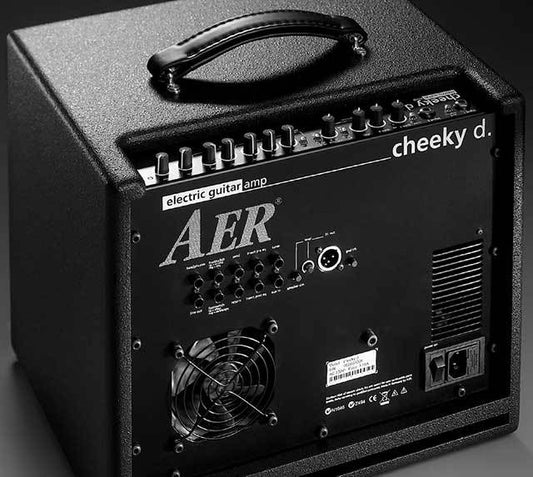 AER "Cheeky D" 200W Electric Guitar Amp (1 x 10")