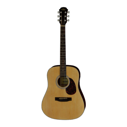 Aria ARADW01N ADW-01 Series Dreadnought Acoustic Guitar in Natural Gloss Finish