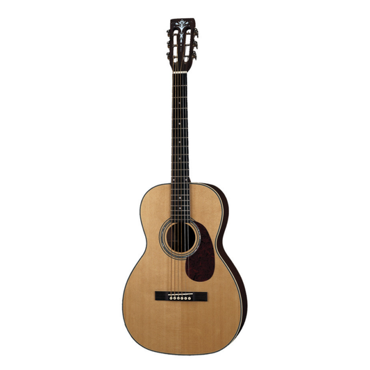 Aria AP Series Deluxe Parlour Acoustic Guitar in Natural Gloss Finish