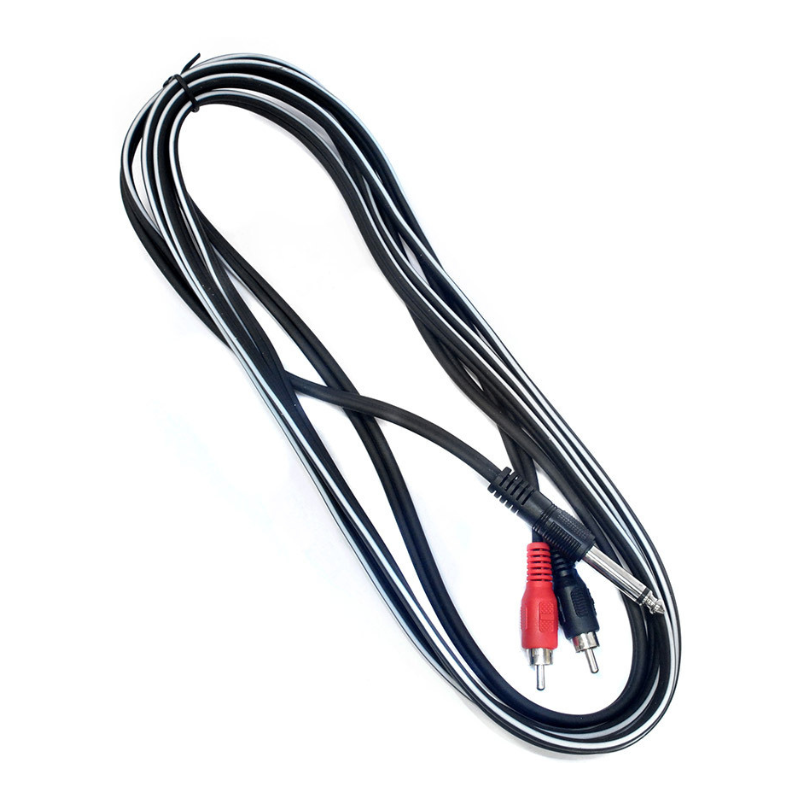Leem 10ft Y-Cable (1/4" Straight TS - 2 x RCA Plugs)