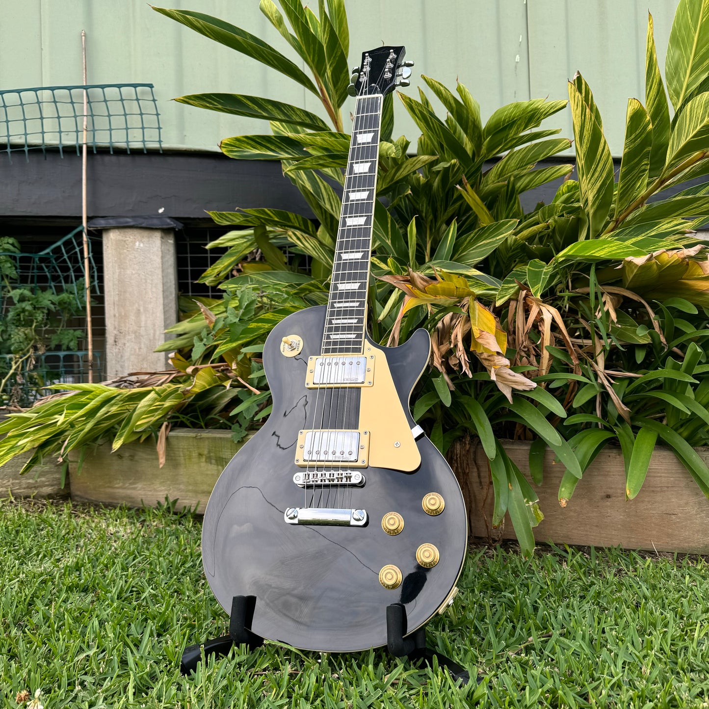 Artist AP1 Les Paul