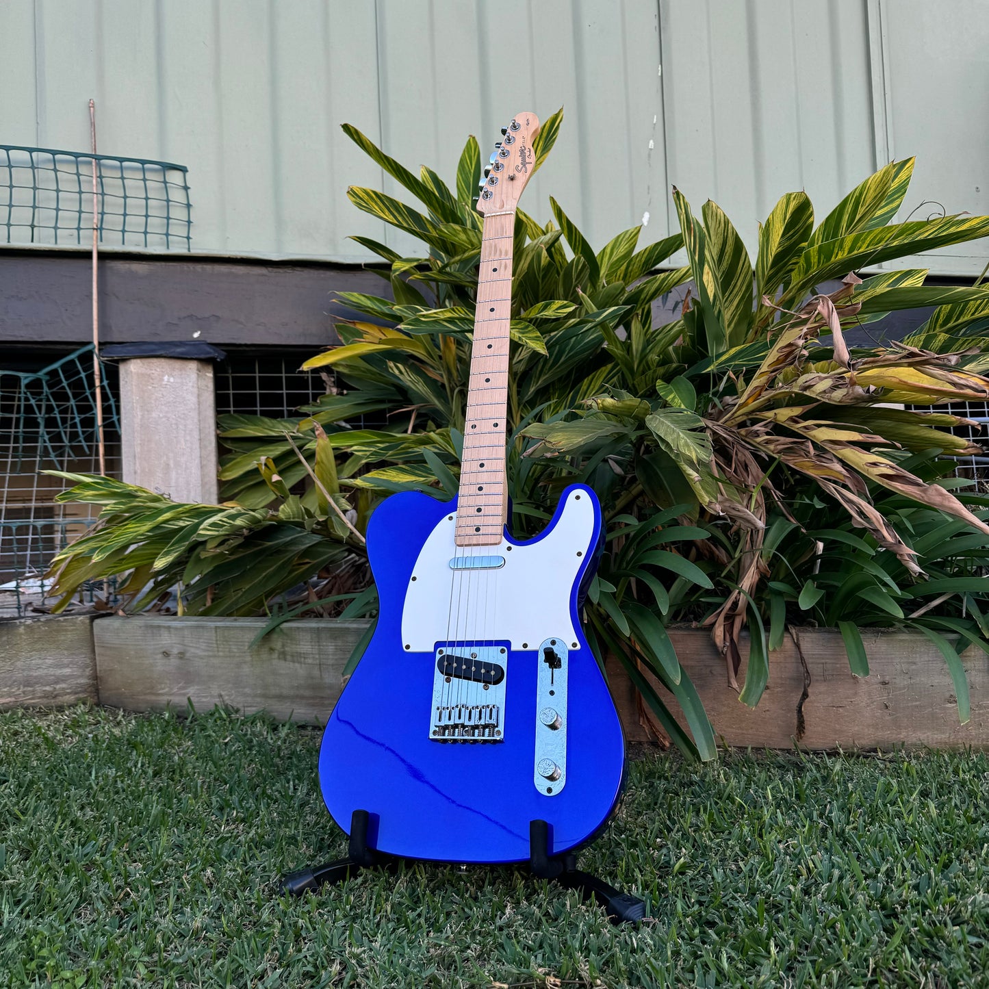 Squier Affinity Tele - Electric Blue