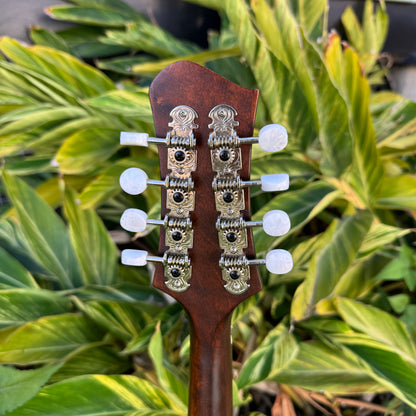 Eastman A-Style Mandolin with F-Hole