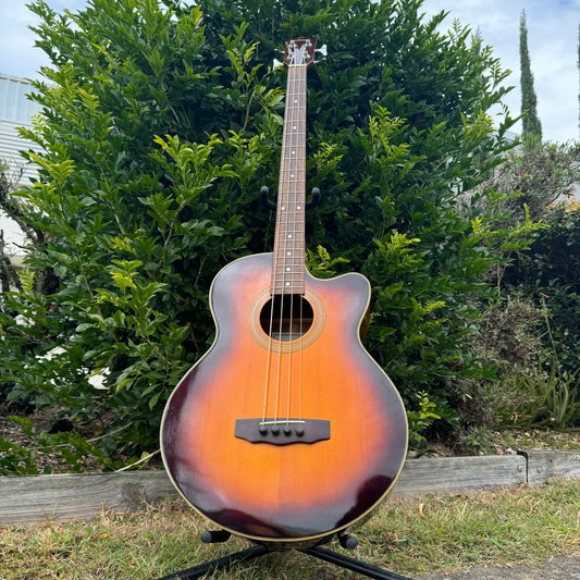 Jim Deacon SAB1000CE-TS Acoustic Bass