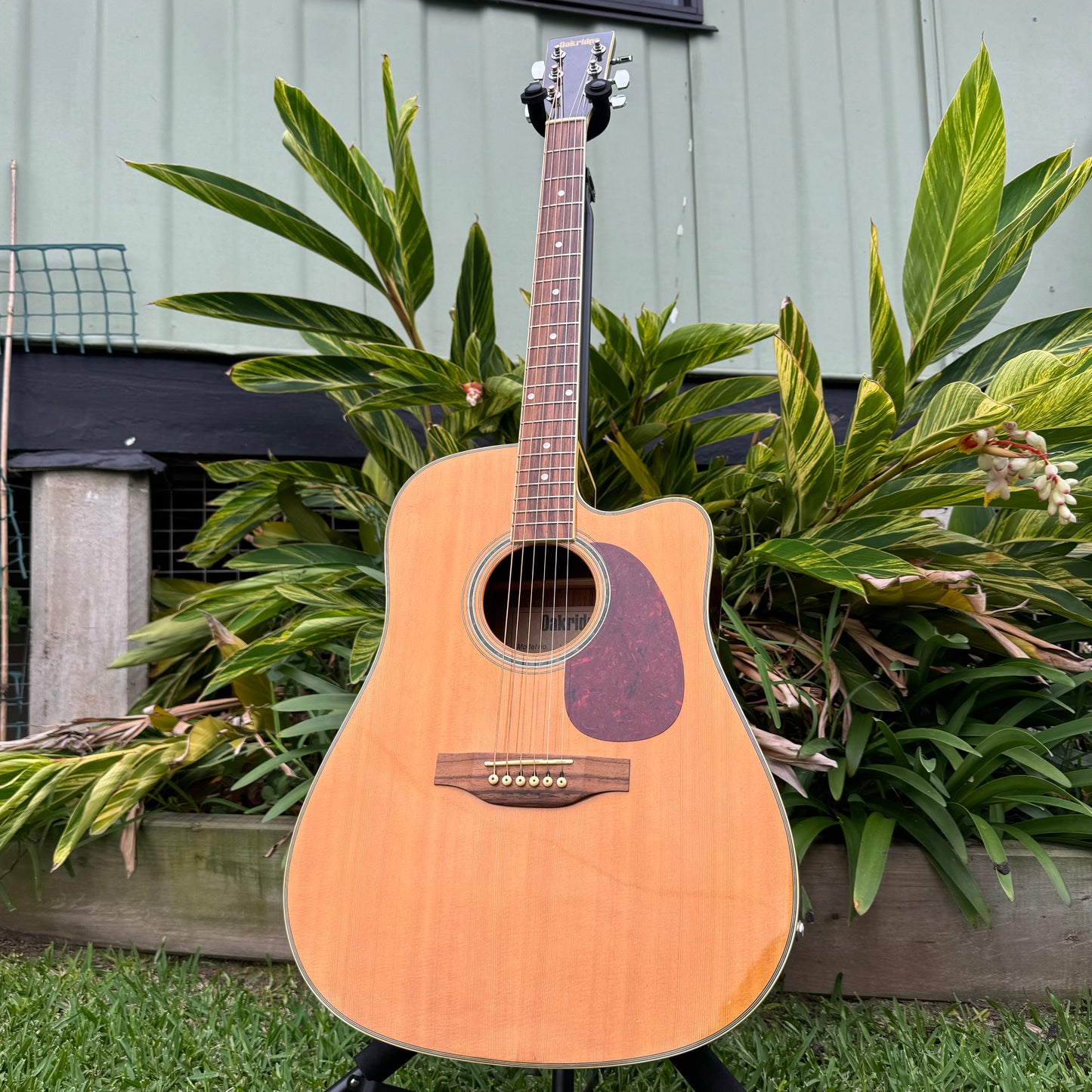 Oakridge 100/DDC50NAT Acoustic Electric