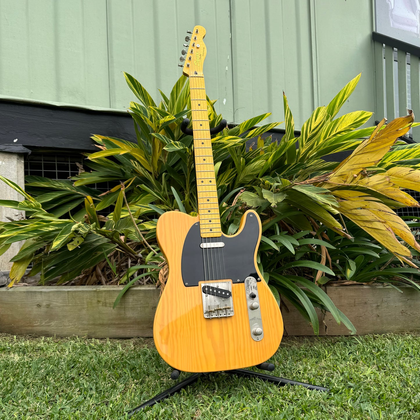 Squier by Fender Classic Vibe '50s Telecaster