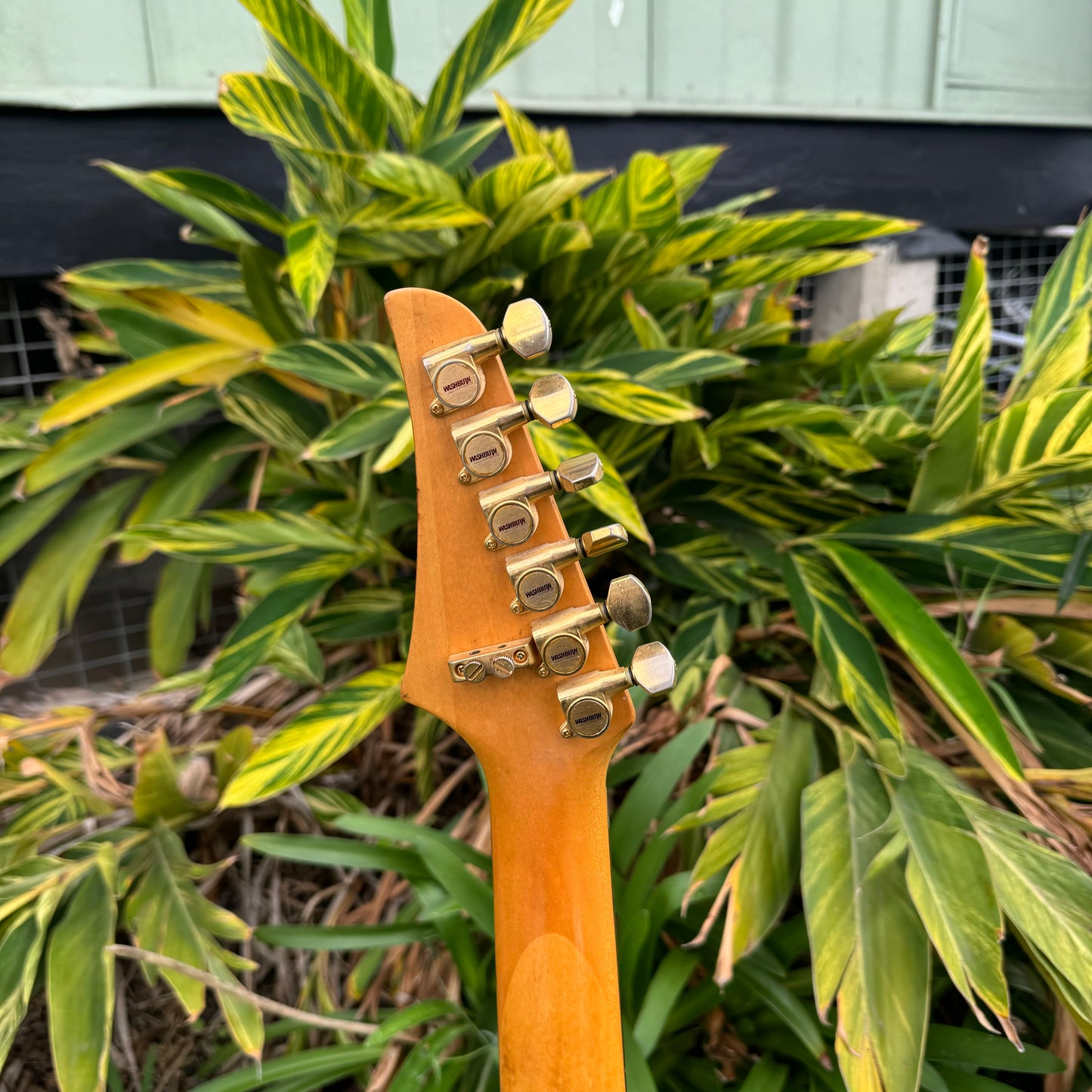 Washburn MG-70 Mercury Series - Red/Yellow Burst