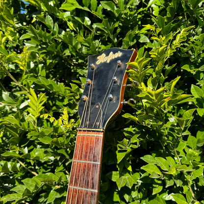 1964 Hofner Congress Archtop