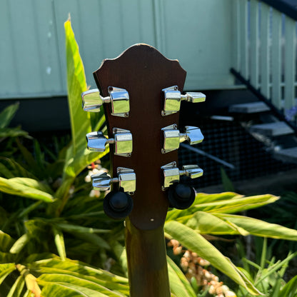 Ibanez V280 Dreadnought