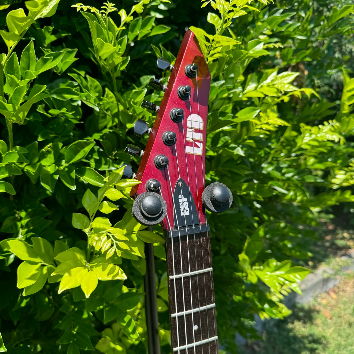 ESP LTD V-100 Flying V