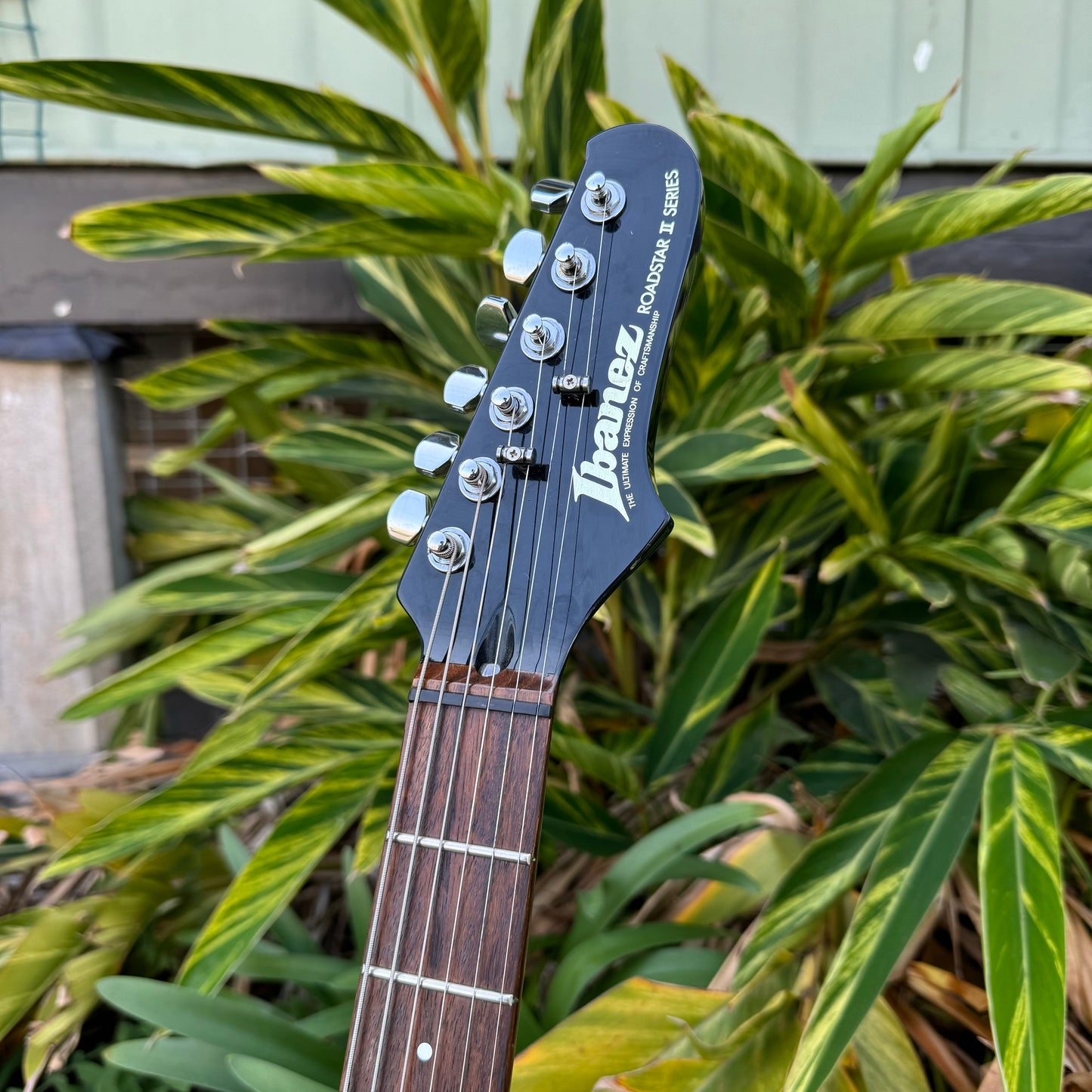 Ibanez Roadstar II RS240