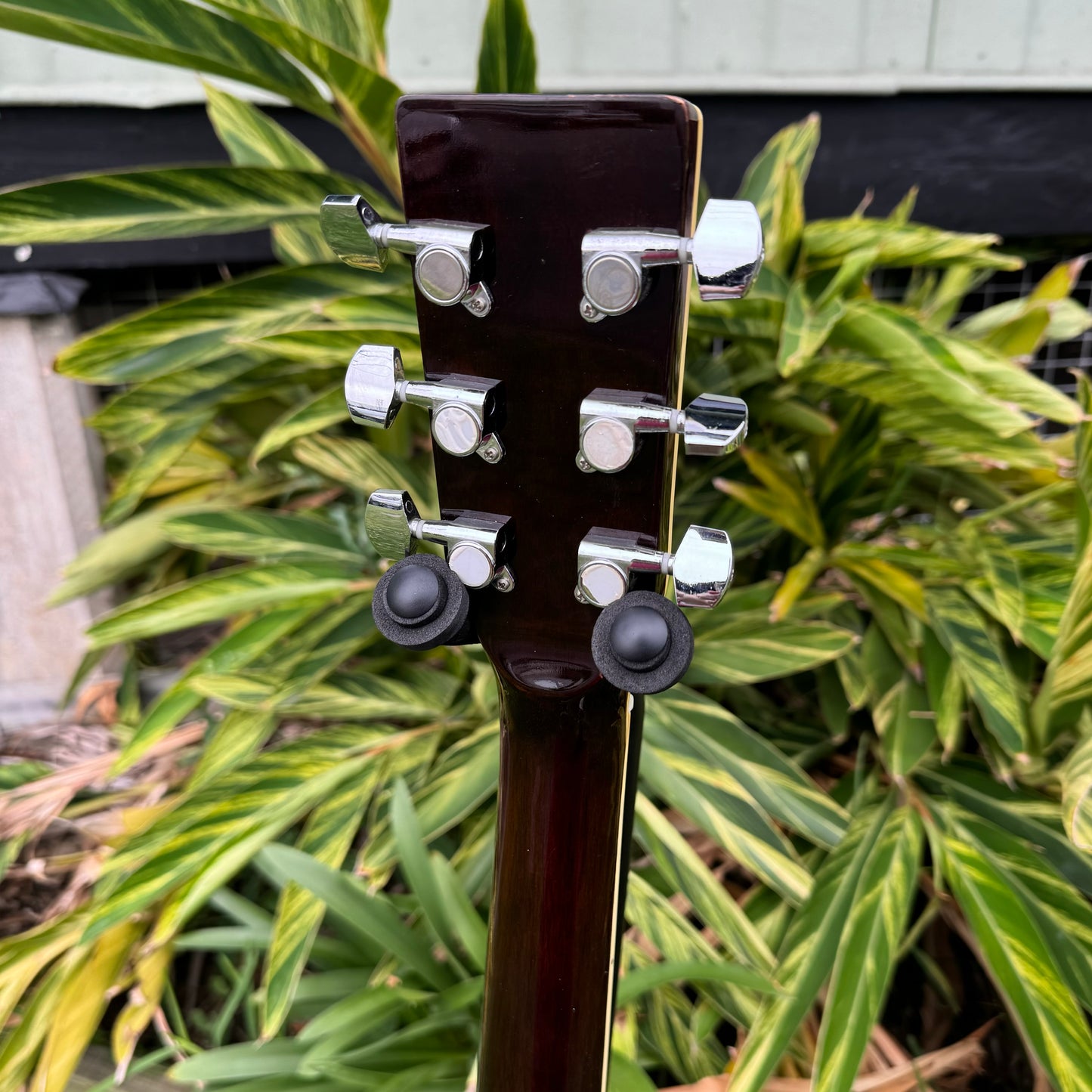 Oakridge 100/DDC50NAT Acoustic Electric