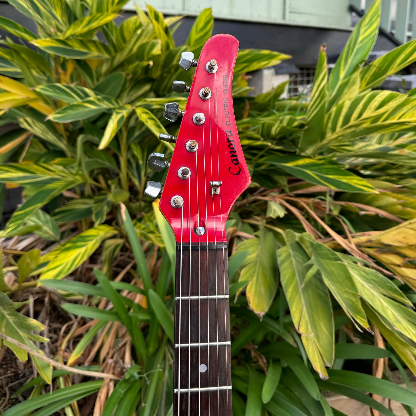 Canora HSS Electric Guitar - Red