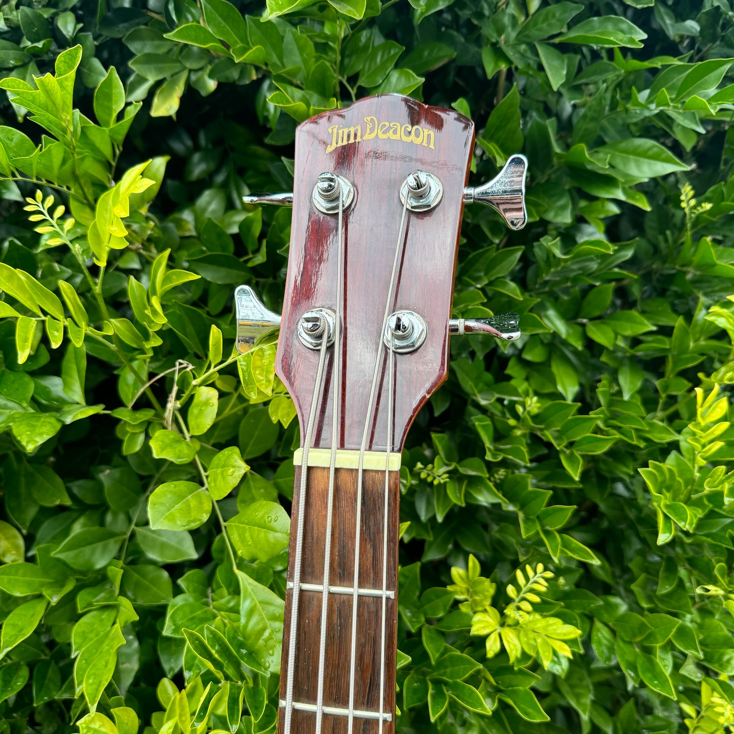 Jim Deacon SAB1000CE-TS Acoustic Bass