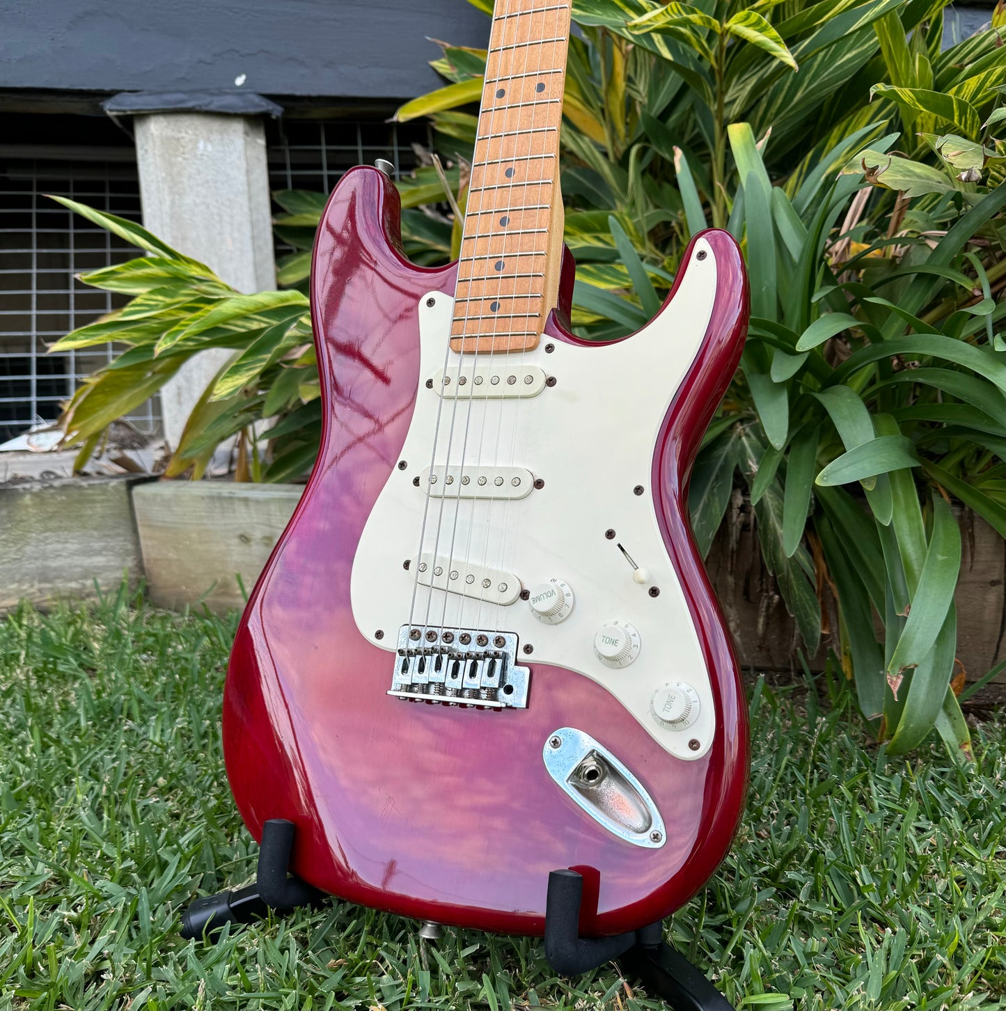 Monterey Stage Series - Maroon