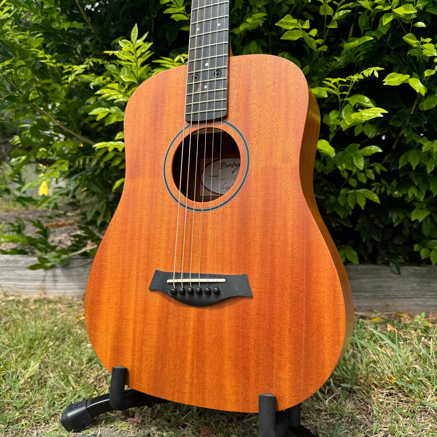 Taylor BT2 Baby Mahogany