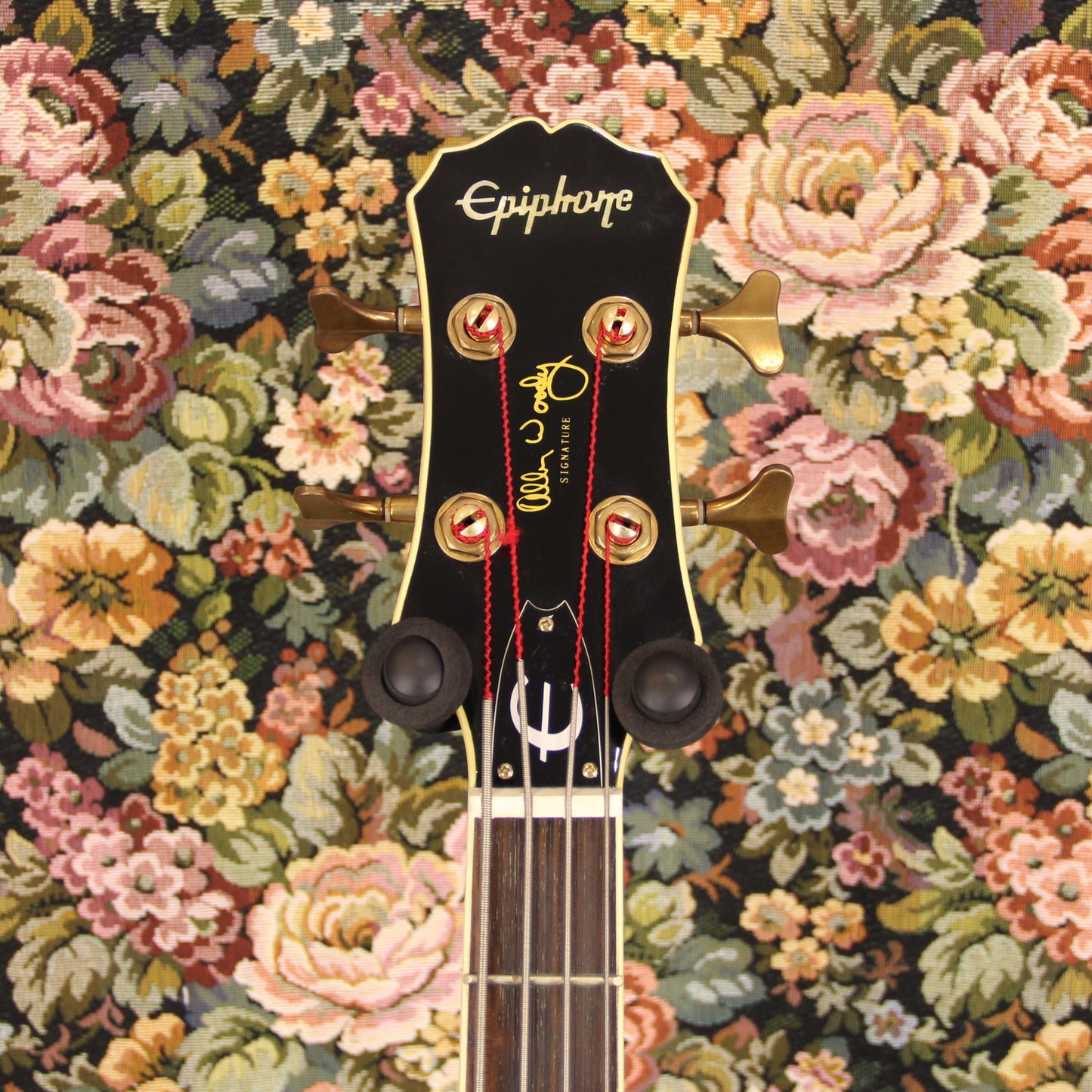 Epiphone Allen Woody Rumblekat