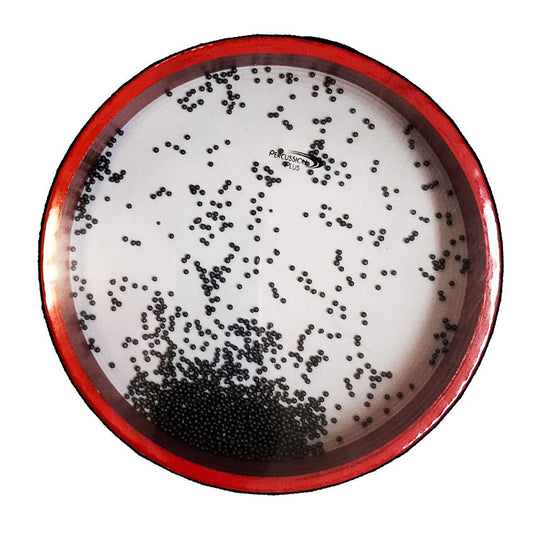 Percussion Plus PPH20A 10" Handheld Ocean Drum Sound Effect