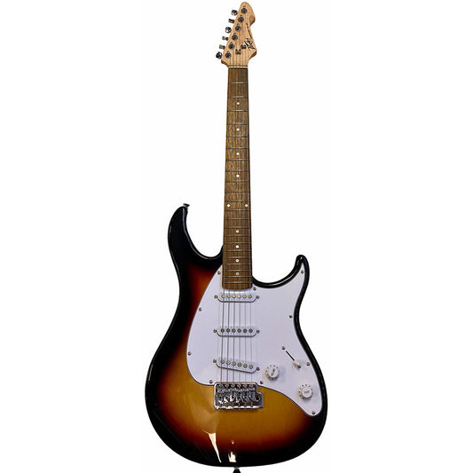 Peavey PVRAPPLUSBSSS Raptor Plus Series Electric Guitar in Sunburst (3SC)