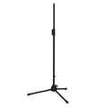 Tenuto TMS06 Cast Base Straight Microphone Stand