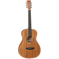 Tanglewood TWR2P Roadster II Parlour Acoustic Guitar