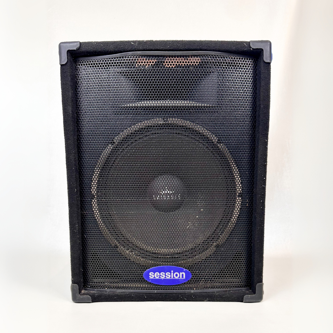 SESSION A400 15″ High-Power Loudspeaker/PA Module