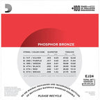 D'Addario EJ24 13-56 True Medium Phosphor Bronze Acoustic Guitar Strings