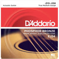 D'Addario EJ24 13-56 True Medium Phosphor Bronze Acoustic Guitar Strings