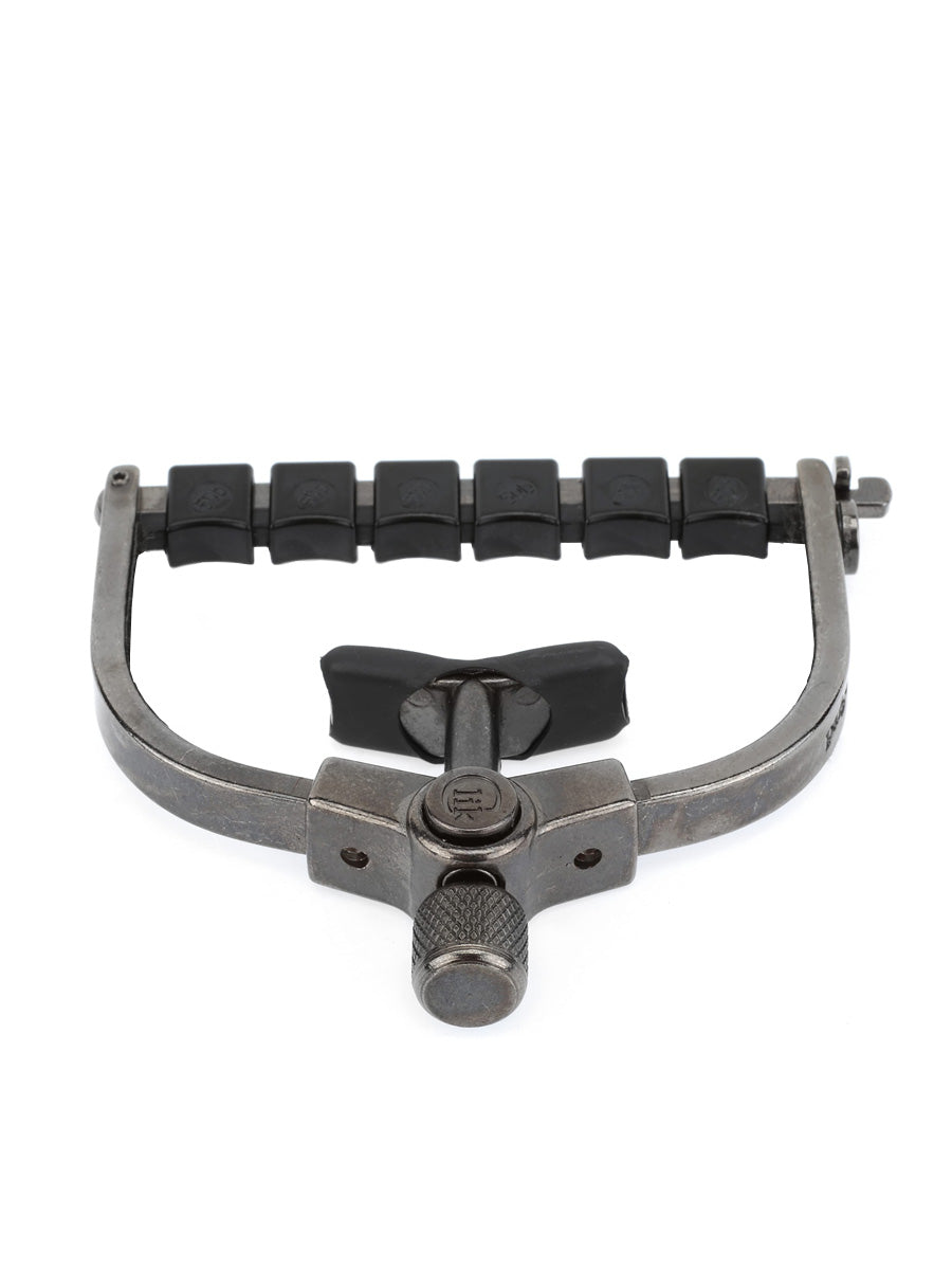 Paige 6-String Guitar ETI PC-6-ETI Capo