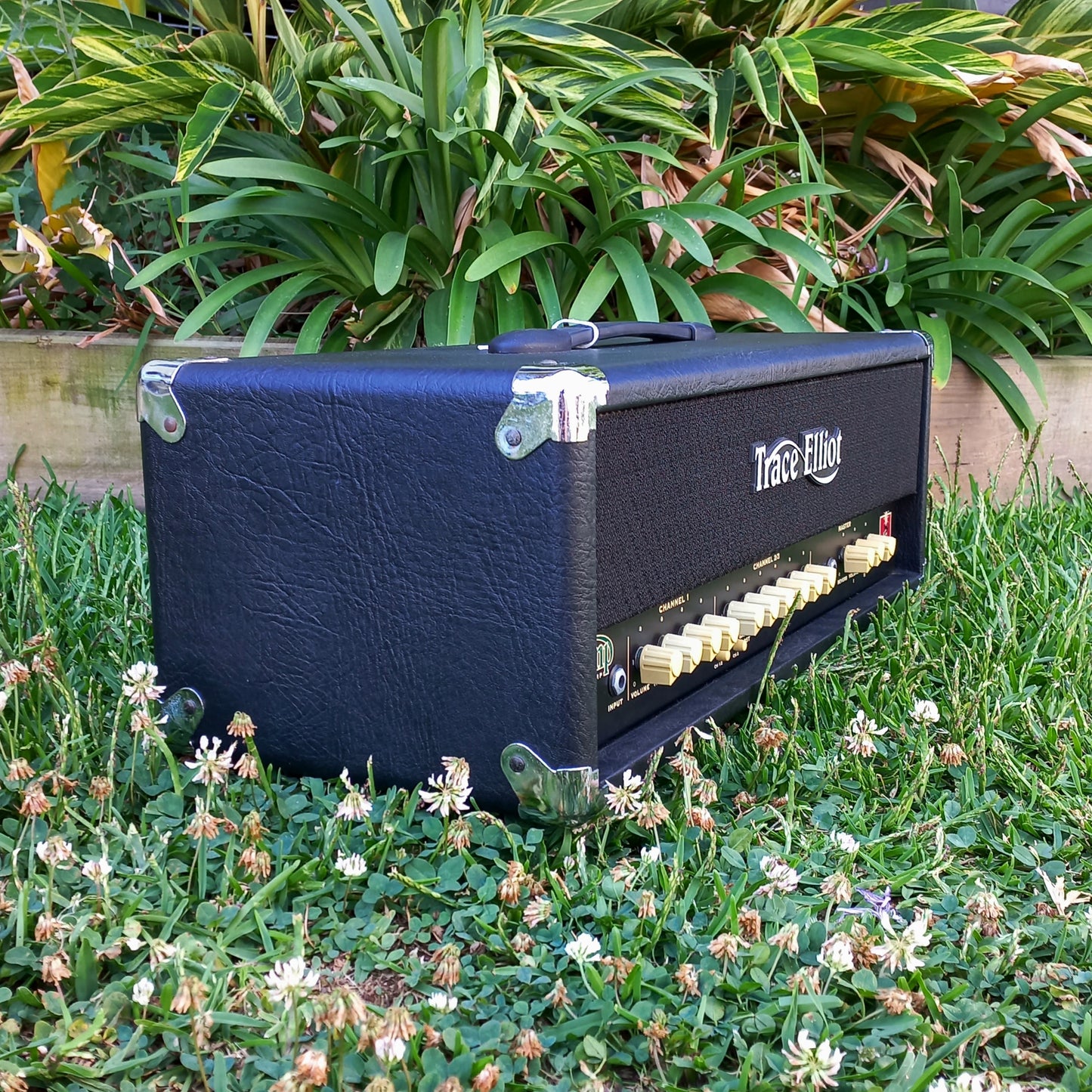 Trace Elliot Super Tramp 100W Amp Head