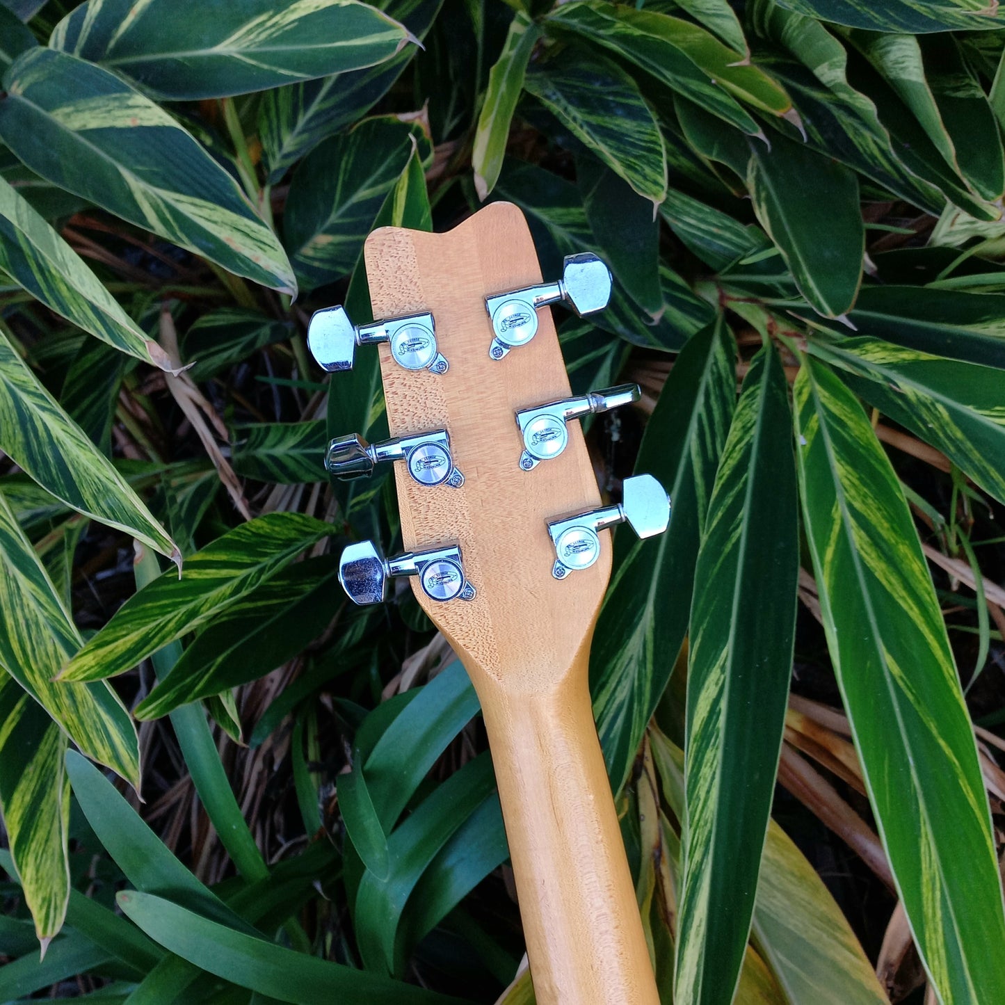 1980's Washburn T-Bird Series Electric