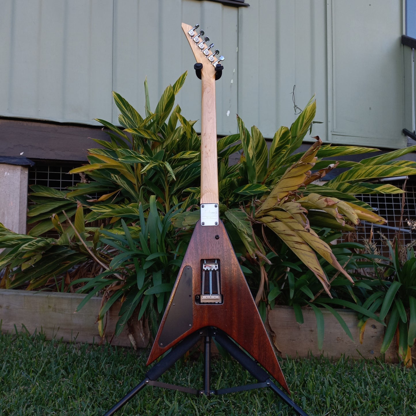 Jackson Mahogany Flying V