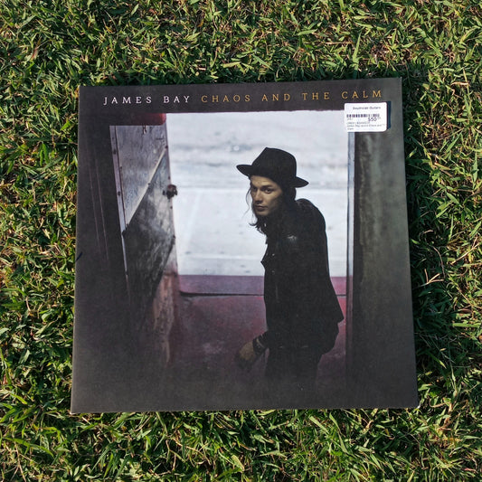 James Bay - Chaos and The Calm