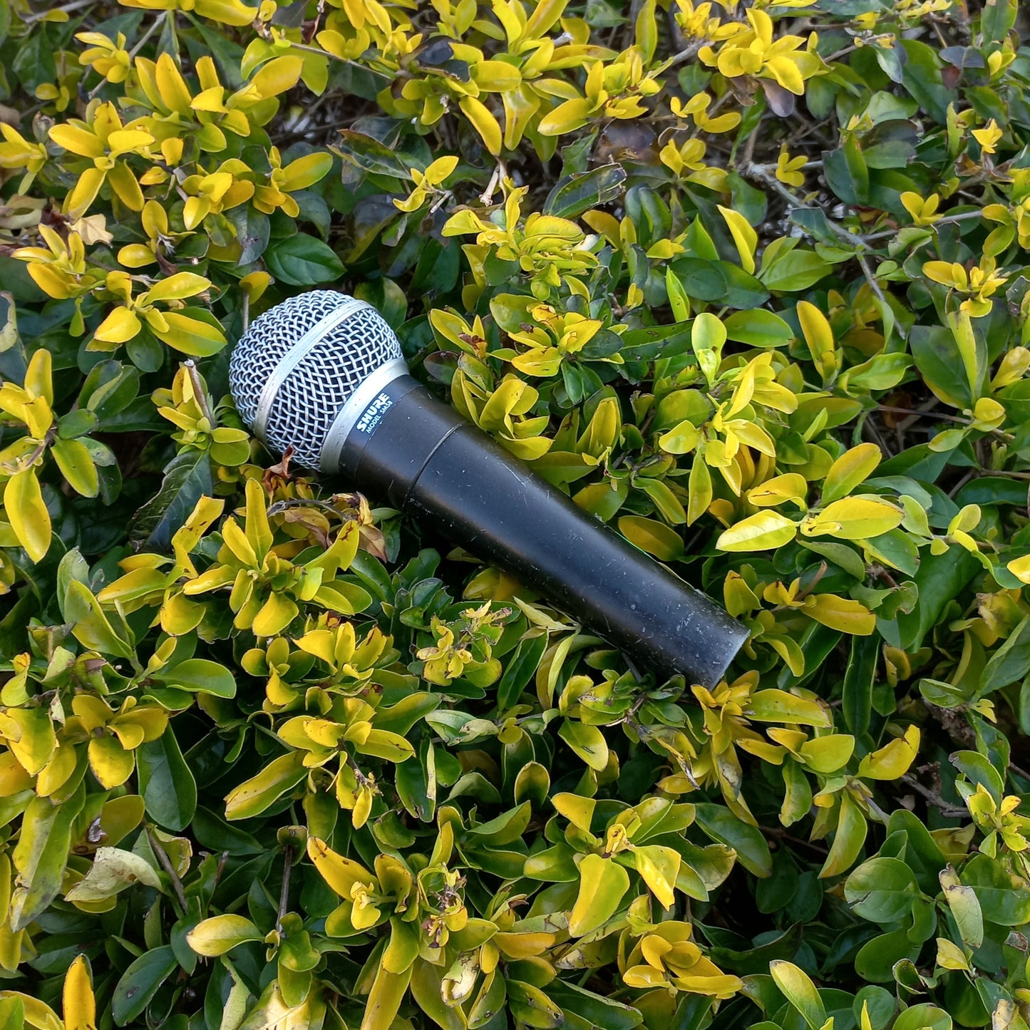 Shure SM58 Dynamic