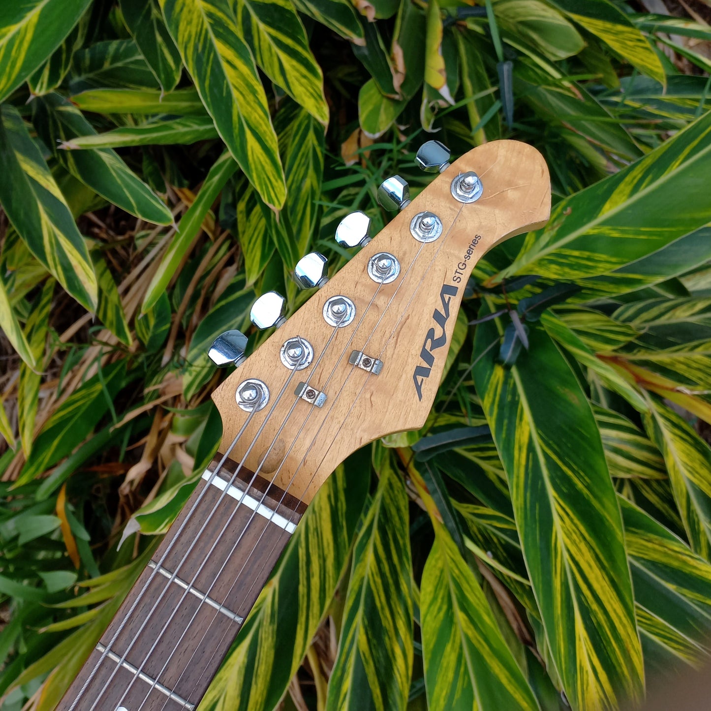 Aria STG Series Stratocaster