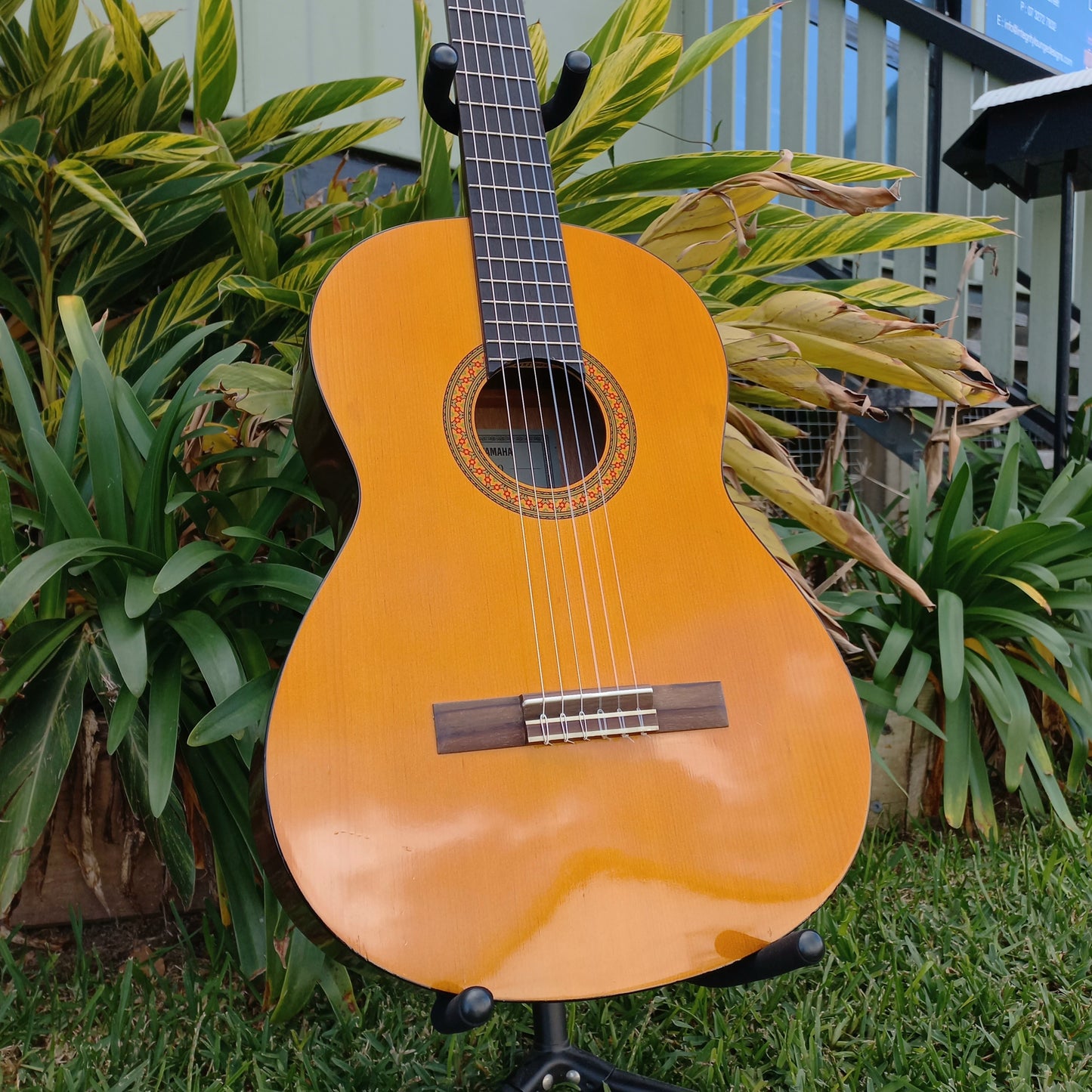 Yamaha C40 Student Classical Nylon String