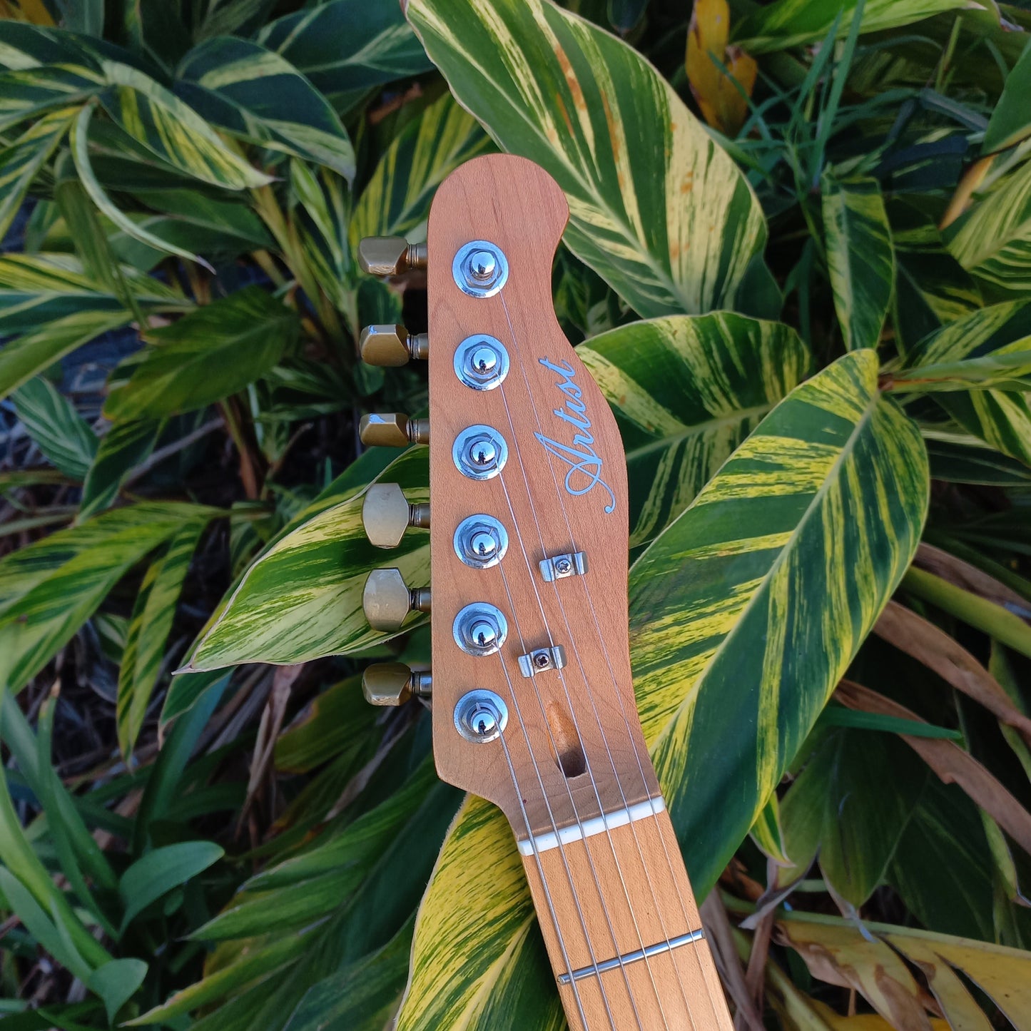 Artist TC59 Tele Style w/ Gold Painted Bullbucker Pickups