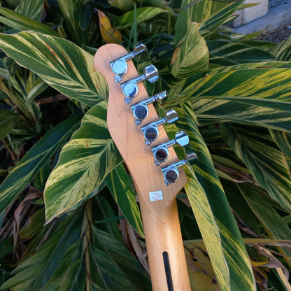 Artist AT91V2 Tele w/ Twangler Pickups