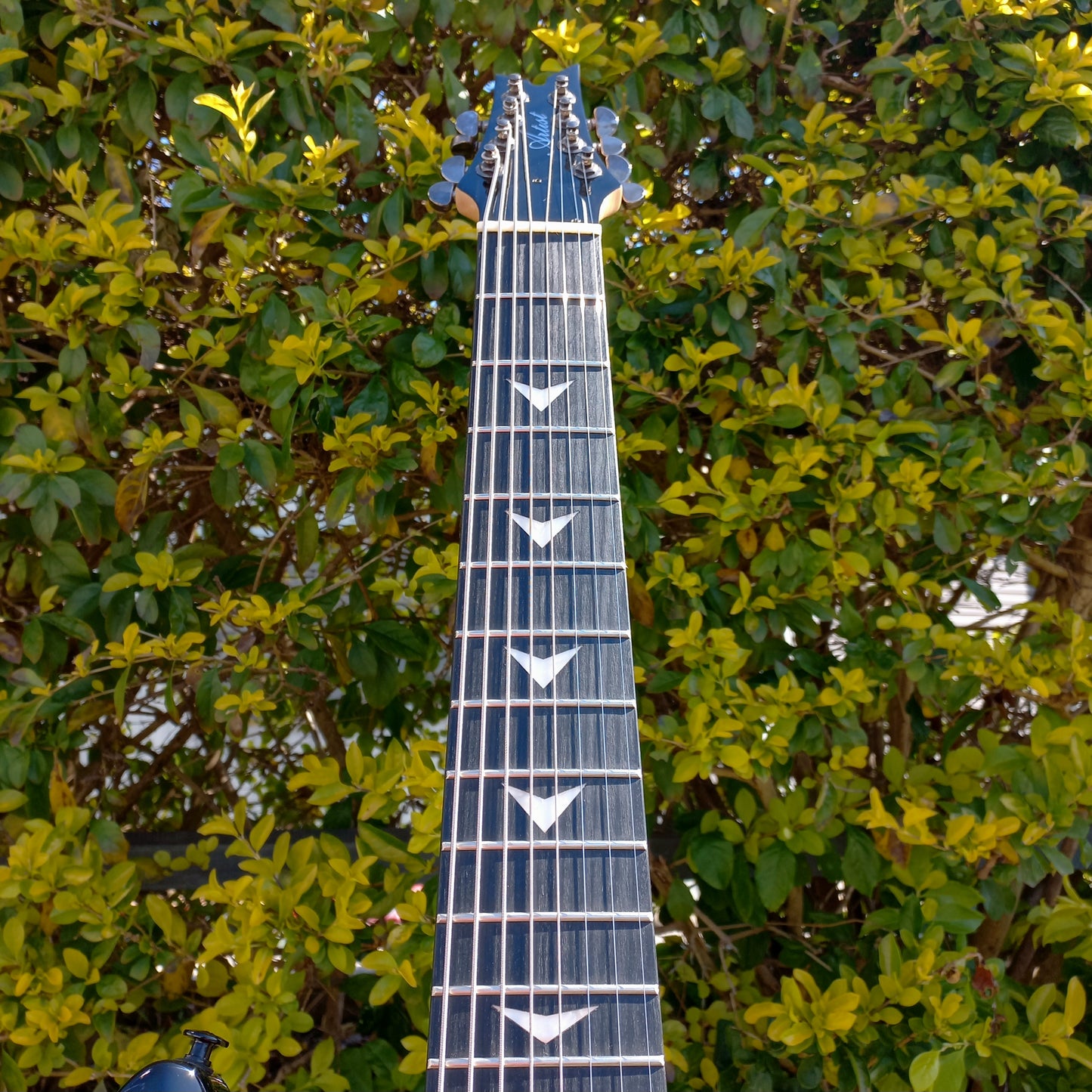 Artist Indominus8 HH 8 String