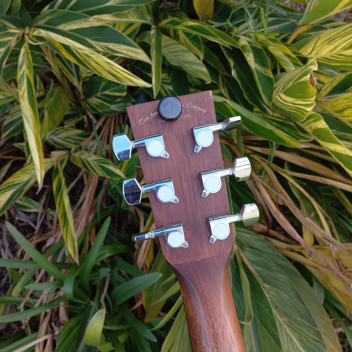 Tanglewood Crossroads Dreadnought